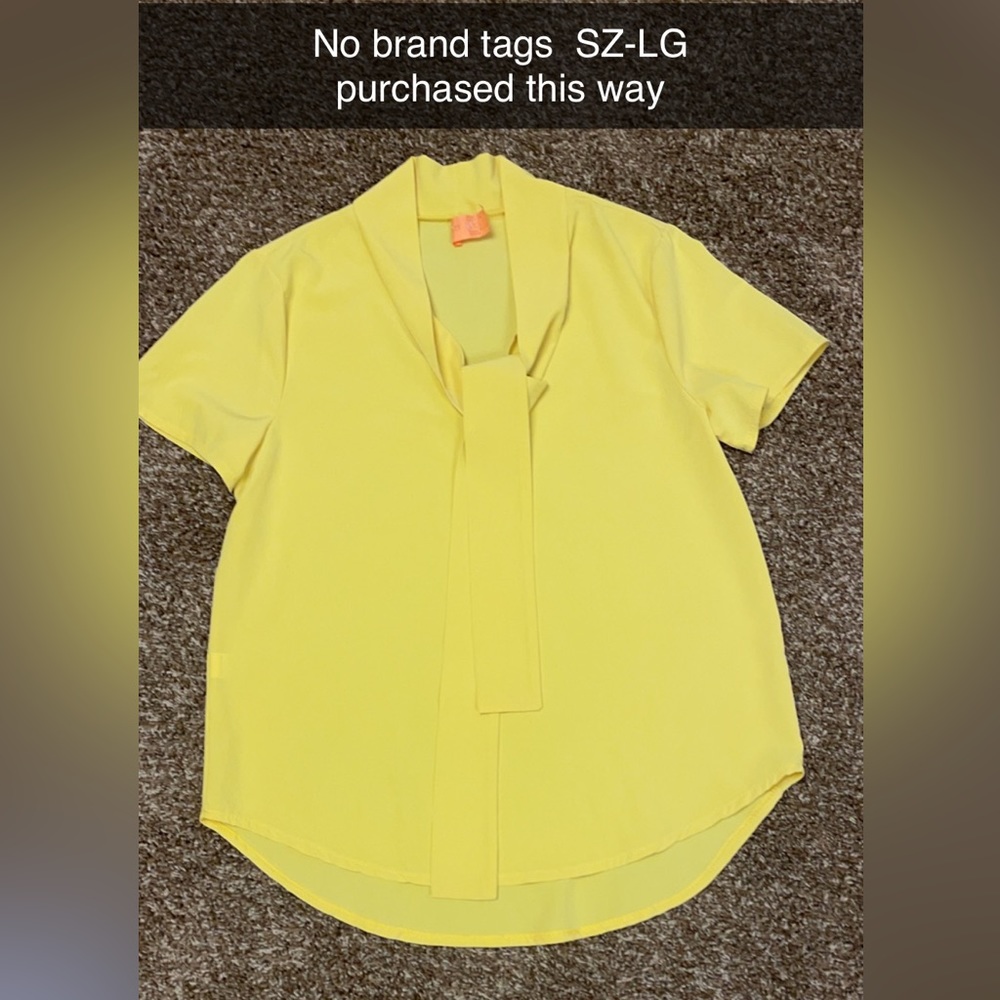 SHEIN Tie Neck Blouse       NWOT